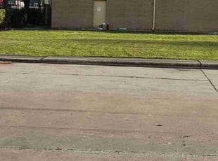 Rhonda S.'s grass cutting service result