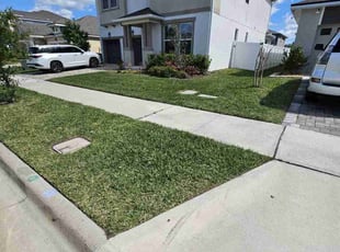 Jeanette S.'s turf maintenance service result