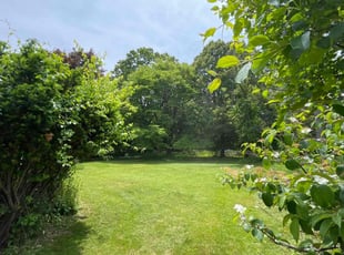 Kevin D.'s grass cutting service result