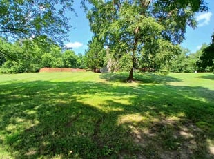 Marcia S.'s turf maintenance service result