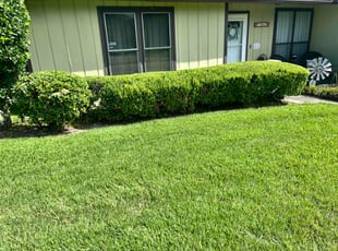 Brenda H.'s Bush Trimming service result