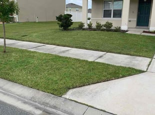 Sashana C.'s grass cutting service result
