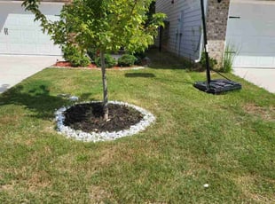 Burt S.'s lawn care service result
