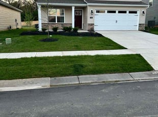 Robin M.'s turf care service result