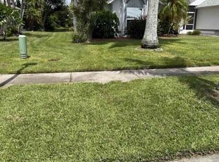 Judy J.'s grass maintenance service result