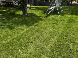 Kellie C.'s lawn care services service result