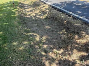 Steven P.'s lawn care services service result