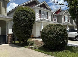 Rachael T.'s Bush Trimming service result