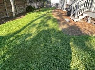 Michael W.'s turf maintenance service result
