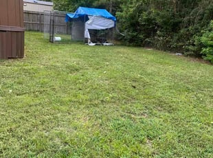 Desmond R.'s grass cutting service result