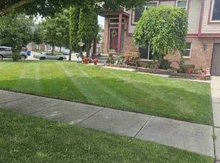 Kevin K.'s lawn maintenance service result