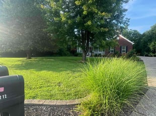 Darlene D.'s lawn service service result