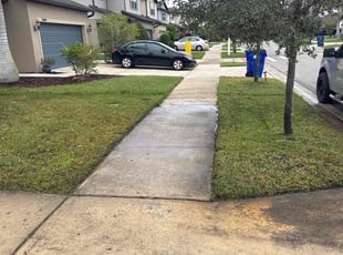 Anne M.'s grass cutting service result