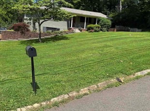 Leslie T.'s lawn care services service result