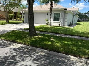 Lauren L.'s turf care service result