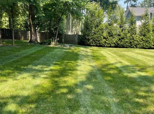 Arnold J.'s yard work service result