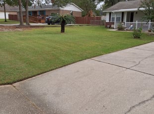 Jaci C.'s lawn care service result