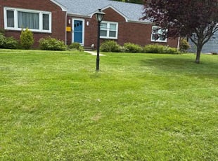 Lamar C.'s turf maintenance service result