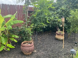 Karen W.'s Flower Bed Weeding service result
