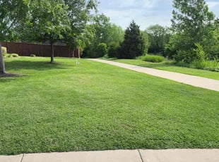 Johnnie C.'s grass maintenance service result