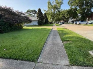 George K.'s Leaf Removal service result
