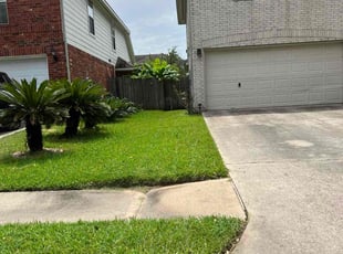 Lauren G.'s lawn maintenance service result