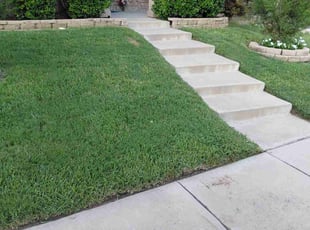 Joye B.'s yard work service result