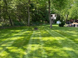 Kimberly M.'s lawn maintenance service result
