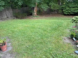 Antoinette M.'s lawn care services service result