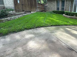 Kerryann L.'s grass cutting service result
