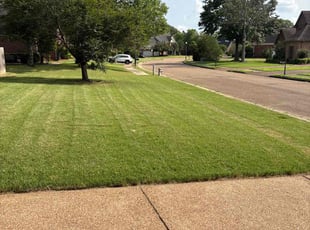 Penny H.'s lawn care service result