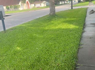 Rodney A.'s grass maintenance service result