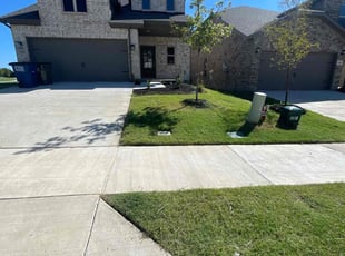 Mary C.'s grass maintenance service result