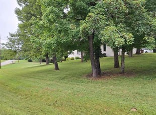 Burt S.'s turf maintenance service result