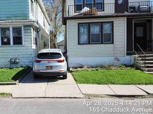 Laurie S.'s turf care service result