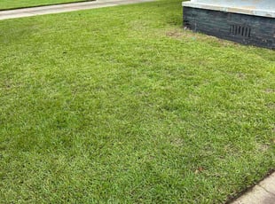 Kay S.'s turf care service result