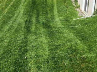 Jason Y.'s lawn care service result