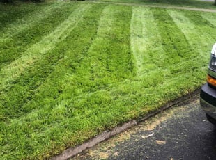 ryan b.'s lawn care service result