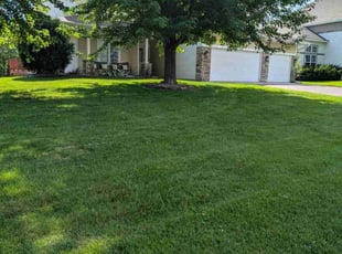 Xavier S.'s lawn care services service result