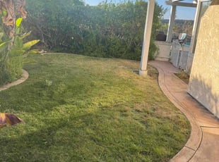 Donna B.'s grass maintenance service result