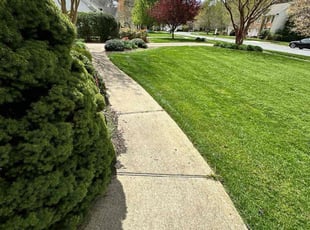 Sean B.'s grass cutting service result