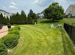Miah W.'s lawn care services service result