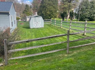 Mike N.'s lawn service service result