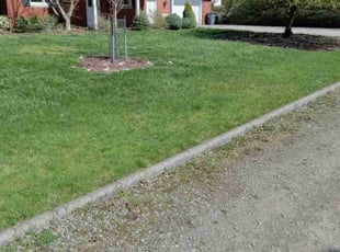 Jason H.'s lawn maintenance service result