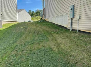 Nan S.'s turf care service result