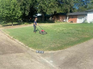 Steve E.'s turf maintenance service result