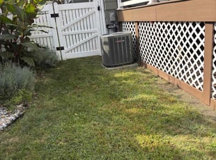 Sheila V.'s turf care service result