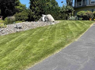 Chung K.'s residential landscaping service result