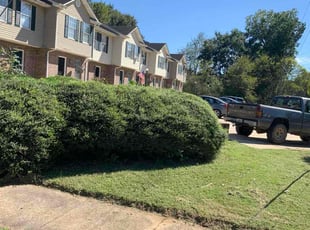 Justin V.'s turf care service result