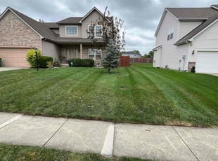 Ken V.'s turf care service result